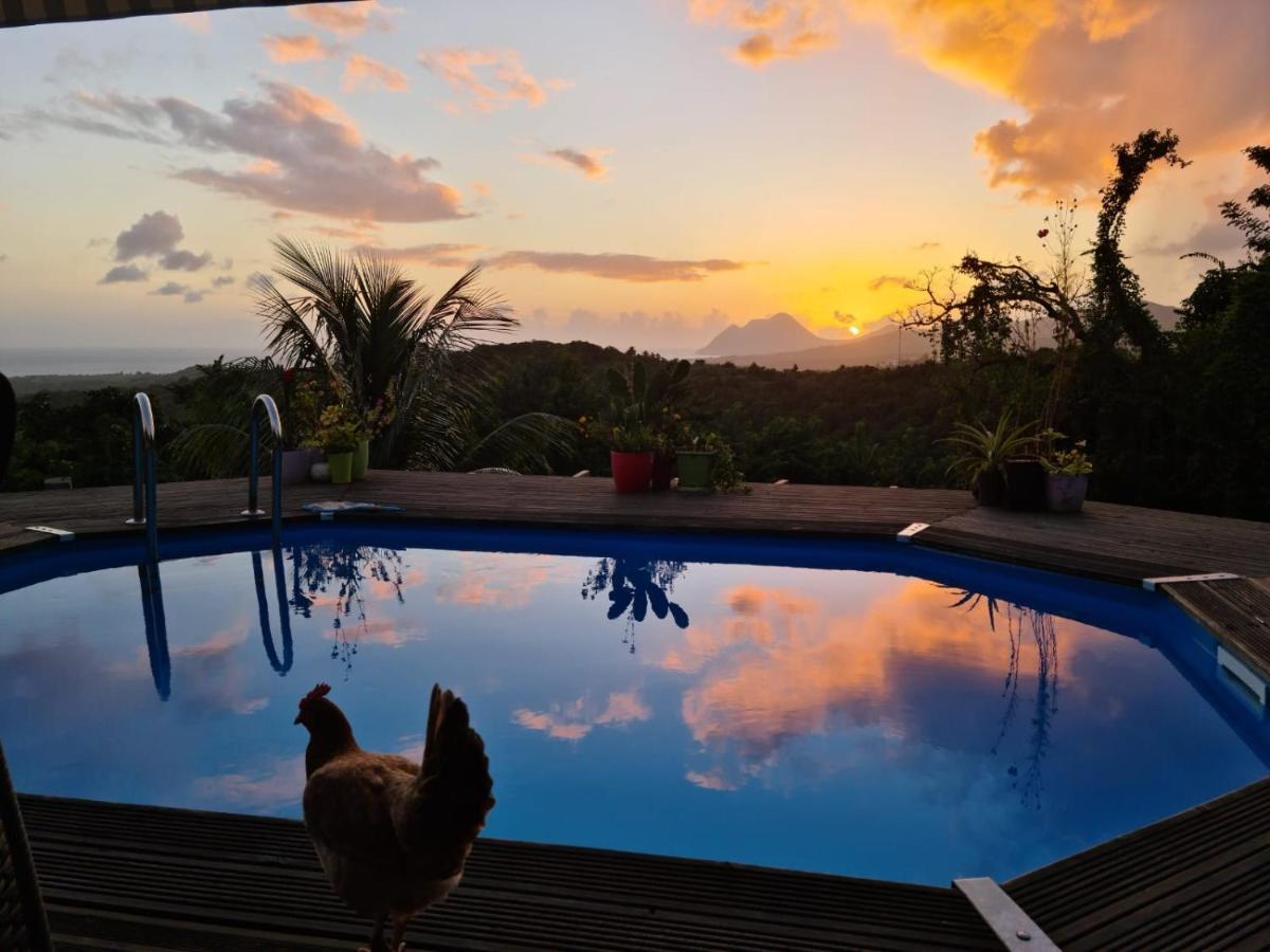 Chambre Chez L'Habitant Avec Piscine Privative Et Vue Panoramique Sur La Mer Des Caraibes Desmarinieres 外观 照片